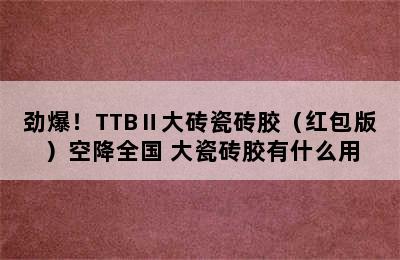 劲爆！TTBⅡ大砖瓷砖胶（红包版）空降全国 大瓷砖胶有什么用